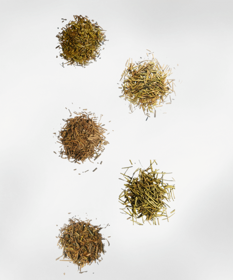 Complete Brown (All Hojicha)