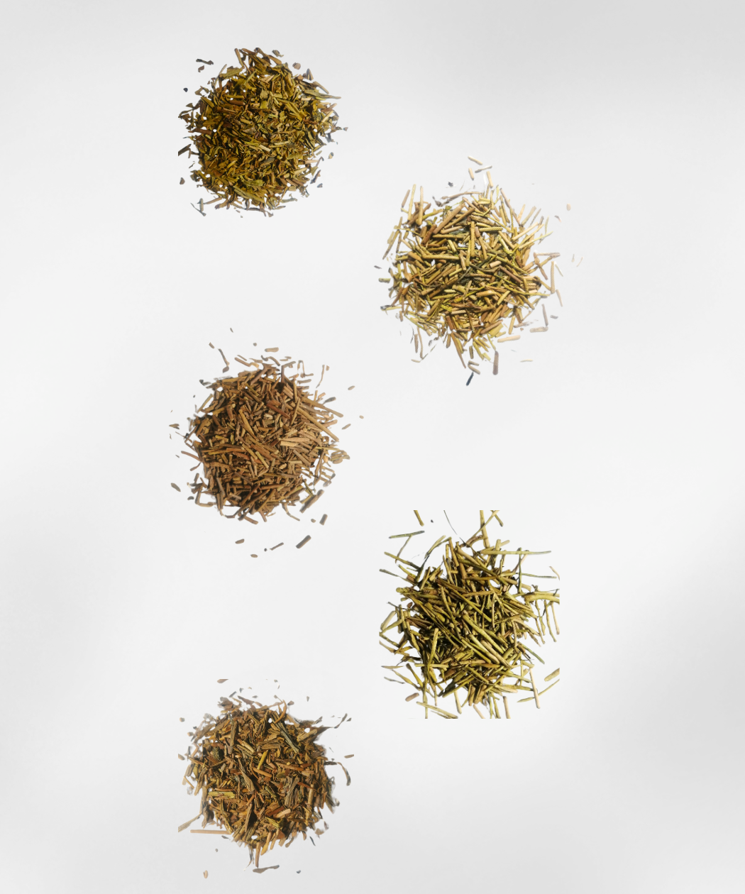 Complete Brown (All Hojicha)