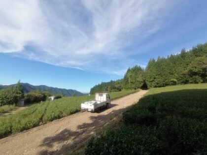 Tea brewed in the field in Ikumi Shizuoka