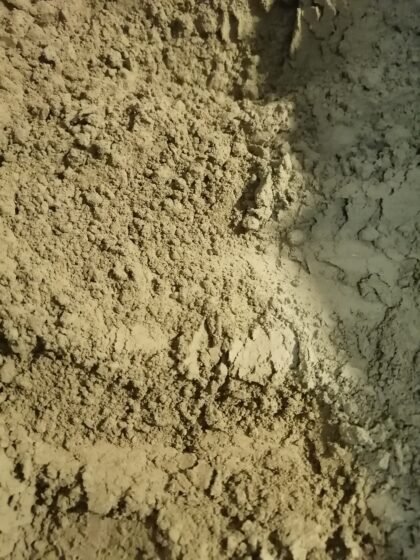 Culinary matcha powder texture close-up