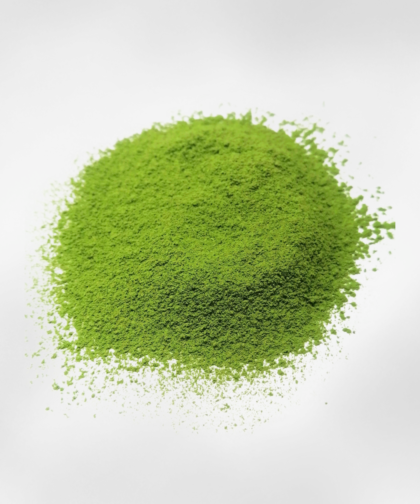 Matcha Okumidori Japanese green tea powder 50g