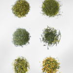 Everyday Green — Japanese Green Tea Sampler Set (6 Teas)