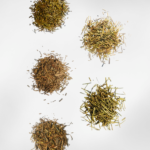 Hojicha Set Leaves Close Up