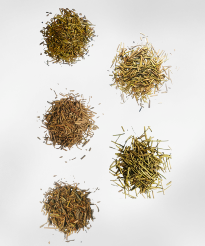 Hojicha Set Leaves Close Up